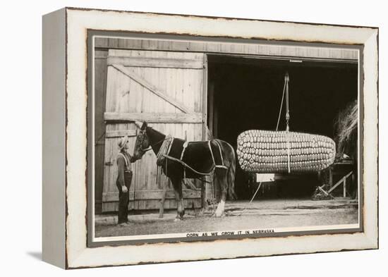 Giant Ear of Corn with Plow Horse, Nebraska-null-Framed Stretched Canvas