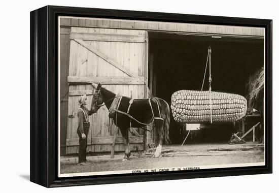 Giant Ear of Corn with Plow Horse, Nebraska-null-Framed Stretched Canvas
