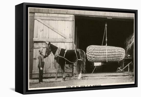 Giant Ear of Corn with Plow Horse, Nebraska-null-Framed Stretched Canvas