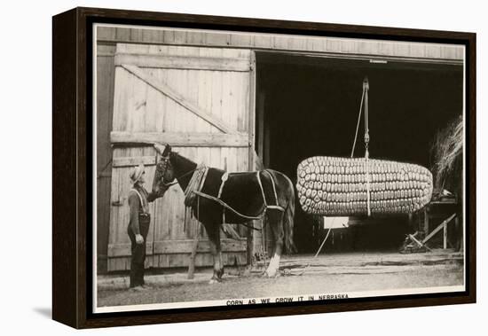 Giant Ear of Corn with Plow Horse, Nebraska-null-Framed Stretched Canvas