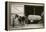 Giant Ear of Corn with Plow Horse, Nebraska-null-Framed Stretched Canvas