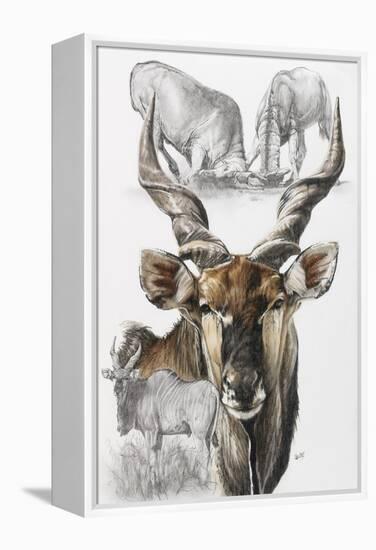 Giant Eland-Barbara Keith-Framed Premier Image Canvas