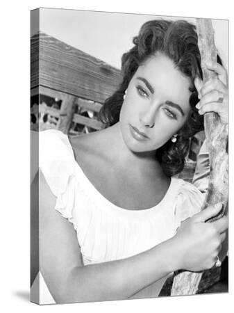 ELIZABETH TAYLOR    絵 Amazon.com: X Y And Zee (Aka Zee And Co.) Elizabeth Taylor