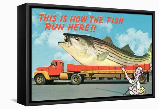 Giant Fish on Flat Bed Truck-null-Framed Stretched Canvas
