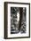 Giant Forest, Giant Sequoia Trees in Snow, Sequoia National Park, California, USA-Inger Hogstrom-Framed Photographic Print