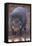 Giant Forest Wart Hog at Salt Lick-DLILLC-Framed Premier Image Canvas