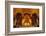 Giant golden Buddha, Bai Dinh Buddhist Temple Complex, Vietnam-David Wall-Framed Photographic Print