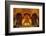 Giant golden Buddha, Bai Dinh Buddhist Temple Complex, Vietnam-David Wall-Framed Photographic Print