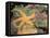 Giant Green Anemones and Ochre Sea Stars-Stuart Westmoreland-Framed Premier Image Canvas