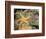 Giant Green Anemones and Ochre Sea Stars-Stuart Westmoreland-Framed Photographic Print