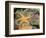 Giant Green Anemones and Ochre Sea Stars-Stuart Westmoreland-Framed Photographic Print