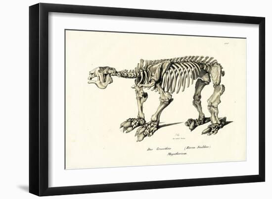 Giant Ground Sloth, 1824-Karl Joseph Brodtmann-Framed Giclee Print