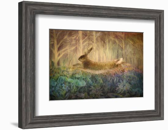 Giant Hare leaps-Claire Westwood-Framed Art Print