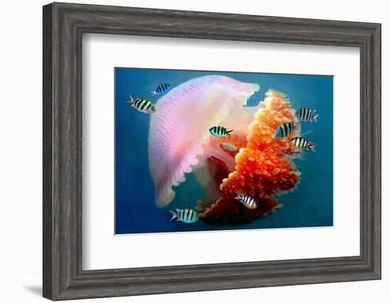 Giant Jellyfish Underwater--Framed Art Print