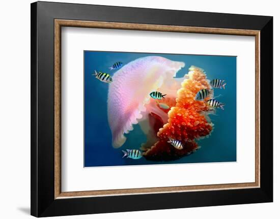 Giant Jellyfish Underwater-null-Framed Art Print