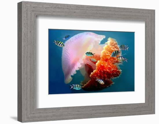 Giant Jellyfish Underwater-null-Framed Art Print