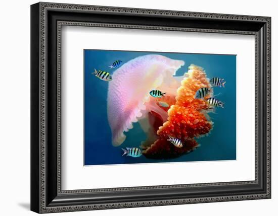 Giant Jellyfish Underwater-null-Framed Art Print