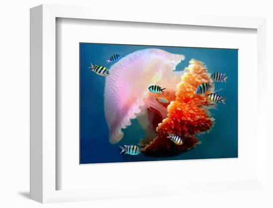 Giant Jellyfish Underwater-null-Framed Art Print