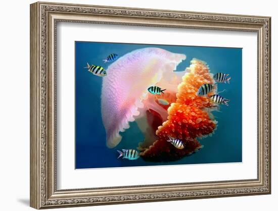 Giant Jellyfish Underwater-null-Framed Art Print