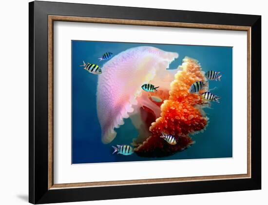 Giant Jellyfish Underwater-null-Framed Art Print