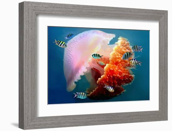 Giant Jellyfish Underwater-null-Framed Art Print