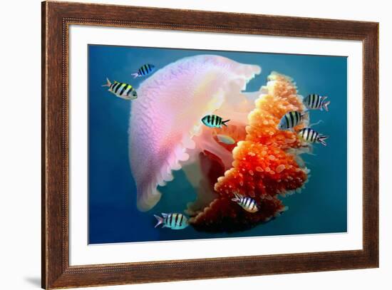 Giant Jellyfish Underwater-null-Framed Art Print