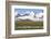 Giant king penguin (Aptenodytes patagonicus) colony, Salisbury Plain, South Georgia, Antarctica, Po-Michael Runkel-Framed Photographic Print