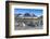 Giant king penguin (Aptenodytes patagonicus) colony, Salisbury Plain, South Georgia, Antarctica, Po-Michael Runkel-Framed Photographic Print