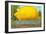 Giant Lemon on Flatbed, Florida-null-Framed Art Print