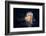 Giant Lion's Mane-Alexander Semenov-Framed Premium Photographic Print