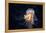 Giant Lion's Mane-Alexander Semenov-Framed Premier Image Canvas