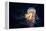 Giant Lion's Mane-Alexander Semenov-Framed Premier Image Canvas