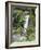 Giant Lobelia in Aberdare National Park, Kenya-Martin Zwick-Framed Photographic Print