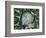 Giant Lobelia Rosette of Leaves, Mount Kenya National Park, Kenya-Martin Zwick-Framed Photographic Print