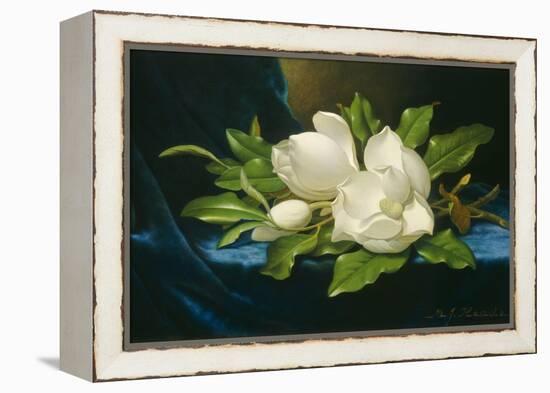 Giant Magnolias on a Blue Velvet Cloth, 1890-Martin Johnson Heade-Framed Stretched Canvas