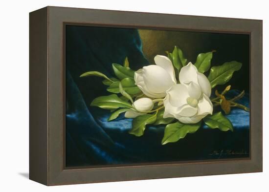 Giant Magnolias on a Blue Velvet Cloth, 1890-Martin Johnson Heade-Framed Stretched Canvas