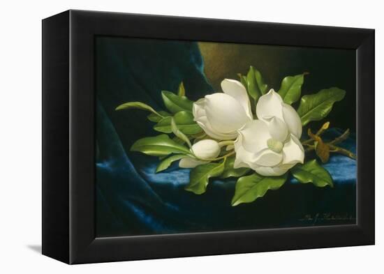 Giant Magnolias on a Blue Velvet Cloth, 1890-Martin Johnson Heade-Framed Stretched Canvas