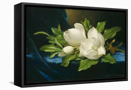 Giant Magnolias on a Blue Velvet Cloth, 1890-Martin Johnson Heade-Framed Stretched Canvas