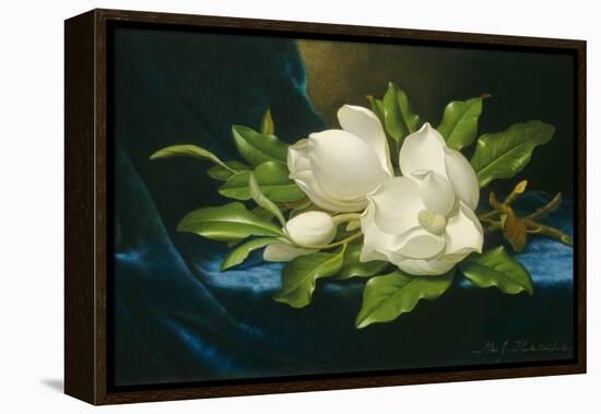 Giant Magnolias on a Blue Velvet Cloth, 1890-Martin Johnson Heade-Framed Stretched Canvas