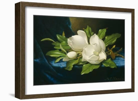 Giant Magnolias on a Blue Velvet Cloth, 1890-Martin Johnson Heade-Framed Art Print