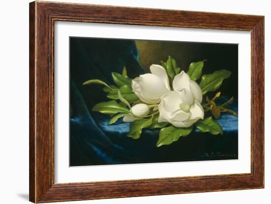 Giant Magnolias on a Blue Velvet Cloth, 1890-Martin Johnson Heade-Framed Art Print