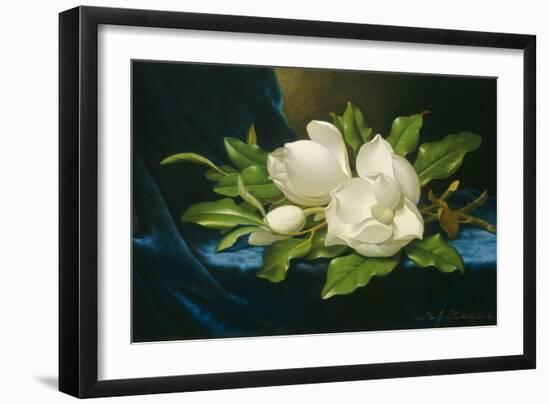 Giant Magnolias on a Blue Velvet Cloth, 1890-Martin Johnson Heade-Framed Art Print