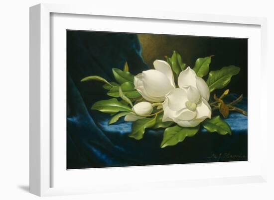 Giant Magnolias on a Blue Velvet Cloth, 1890-Martin Johnson Heade-Framed Art Print