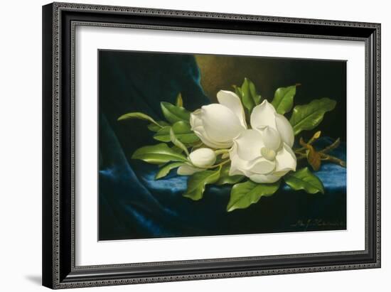 Giant Magnolias on a Blue Velvet Cloth, 1890-Martin Johnson Heade-Framed Art Print