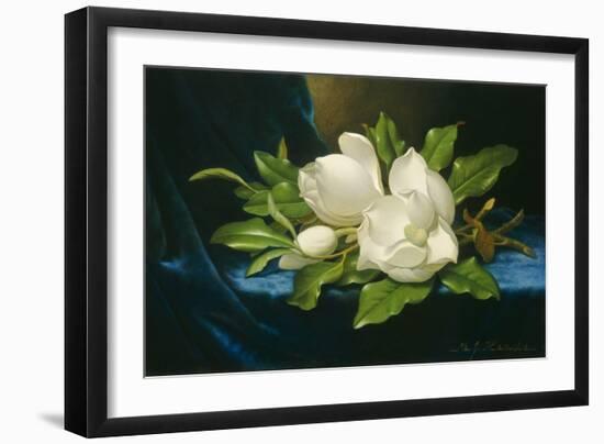 Giant Magnolias on a Blue Velvet Cloth, by Martin Johnson Heade, 1890, American oil painting.-Martin Johnson Heade-Framed Art Print