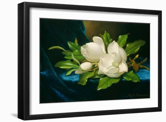 Giant Magnolias on a Blue Velvet Cloth, C.1890 (Oil on Canvas)-Martin Johnson Heade-Framed Giclee Print