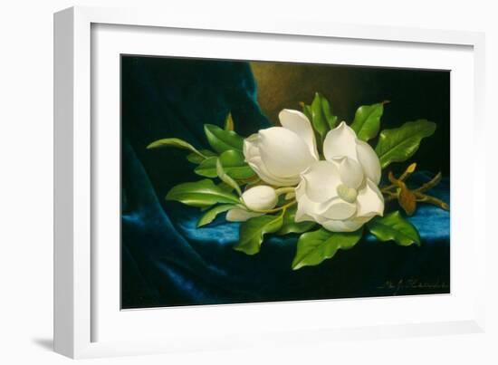 Giant Magnolias on a Blue Velvet Cloth, C.1890 (Oil on Canvas)-Martin Johnson Heade-Framed Giclee Print