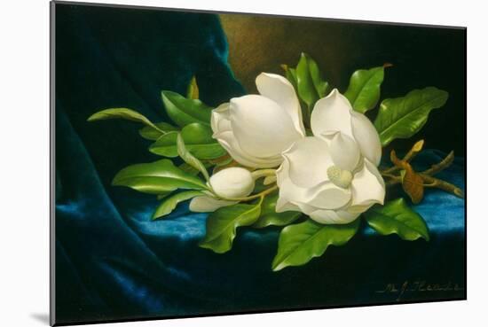 Giant Magnolias on a Blue Velvet Cloth, C.1890 (Oil on Canvas)-Martin Johnson Heade-Mounted Giclee Print