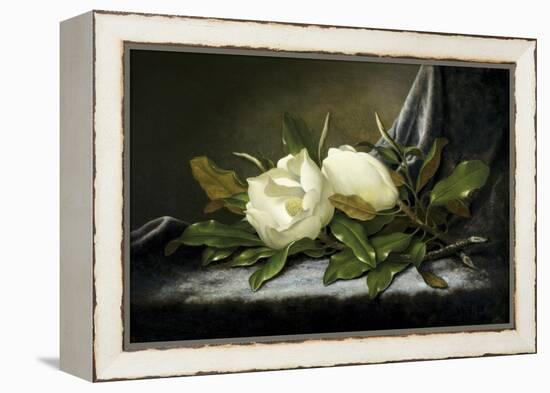 Giant Magnolias on a Light Blue Velvet Cloth-Martin Johnson Heade-Framed Premier Image Canvas