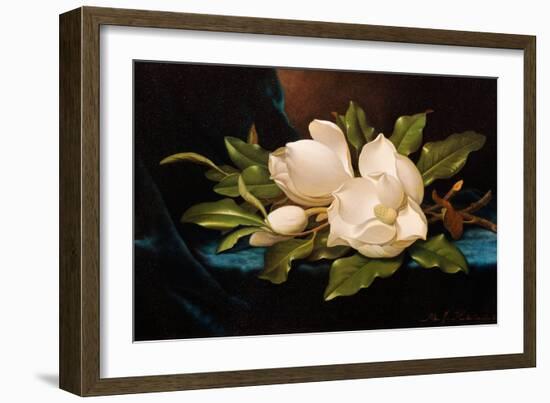 Giant Magnolias on Blue Cloth-Martin Johnson Heade-Framed Giclee Print